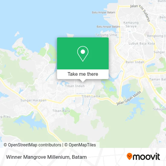 Winner Mangrove Millenium map