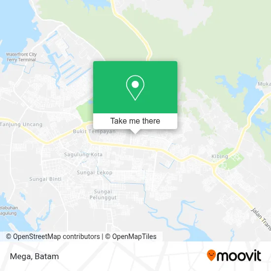Mega map