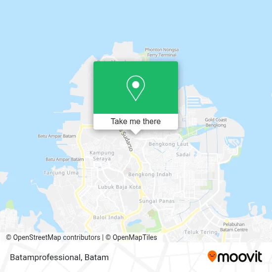 Batamprofessional map