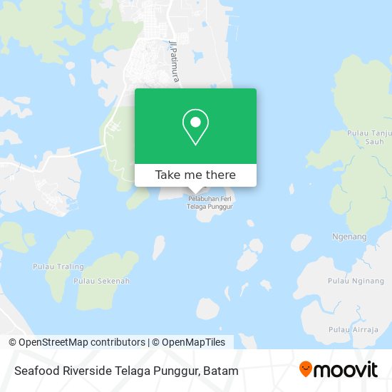 Seafood Riverside Telaga Punggur map