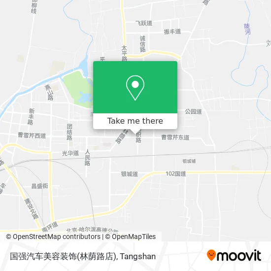 国强汽车美容装饰(林荫路店) map