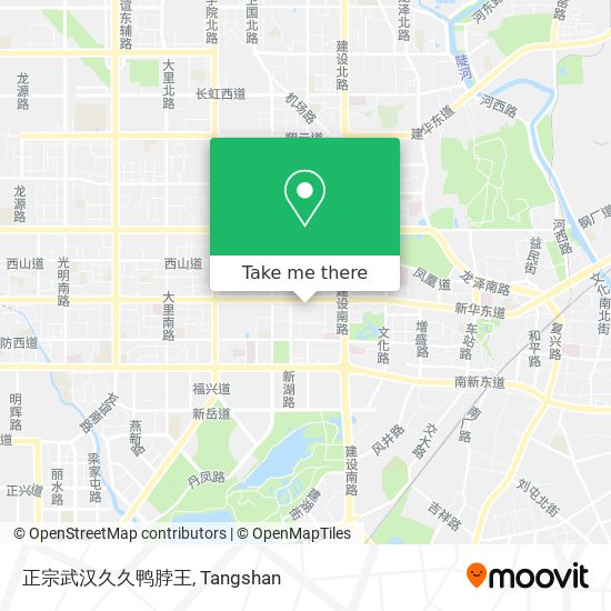 正宗武汉久久鸭脖王 map