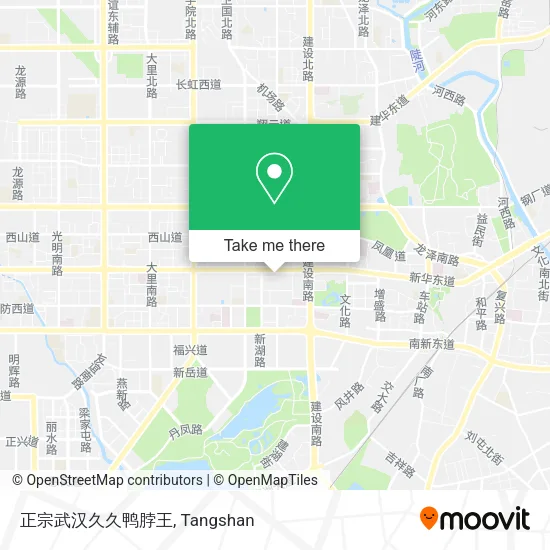 正宗武汉久久鸭脖王 map