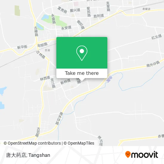 唐大药店 map