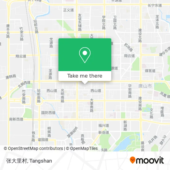 张大里村 map