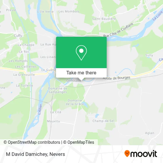 M David Damichey map