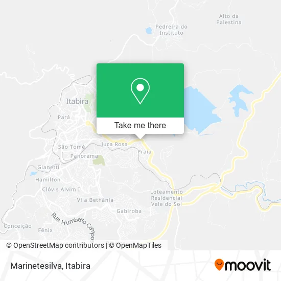 Marinetesilva map