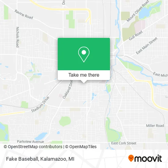 Fake Baseball map