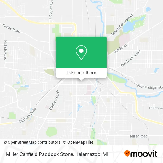 Miller Canfield Paddock Stone map