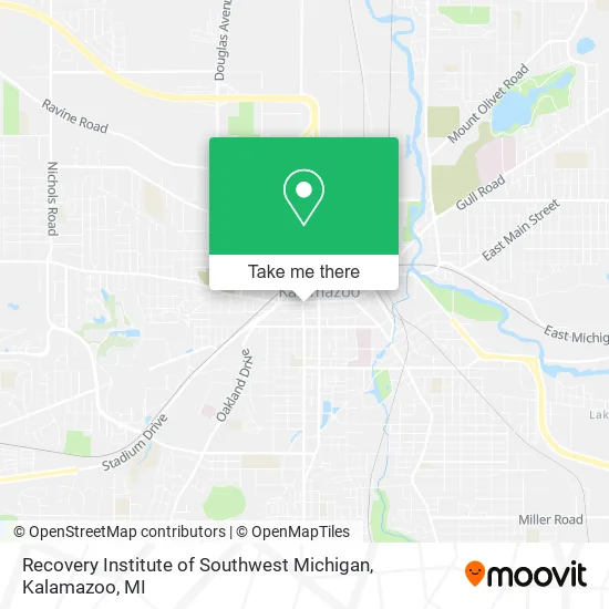 Mapa de Recovery Institute of Southwest Michigan
