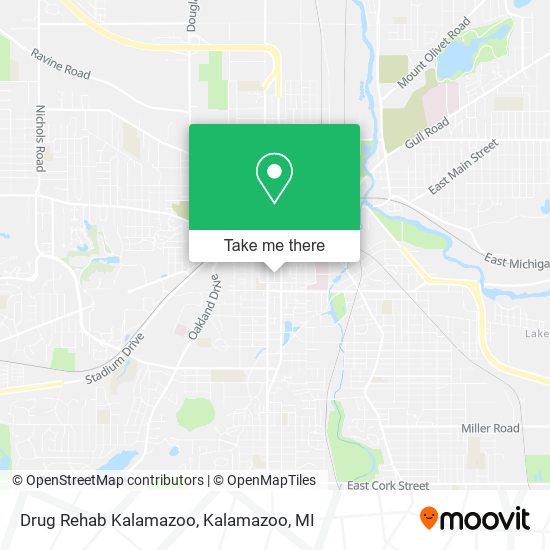 Drug Rehab Kalamazoo map