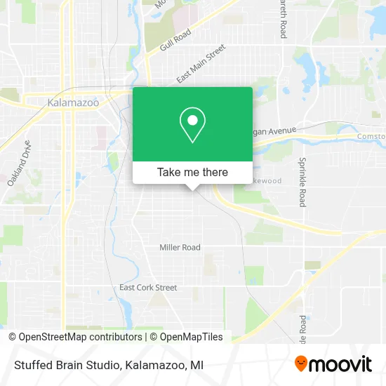 Stuffed Brain Studio map