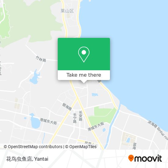花鸟虫鱼店 map