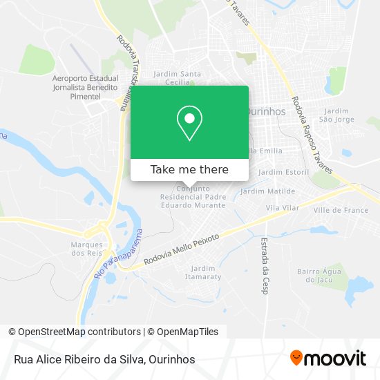 Rua Alice Ribeiro da Silva map