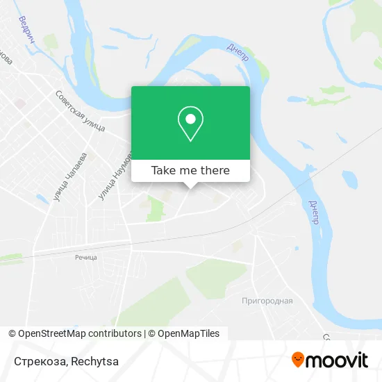 Стрекоза map