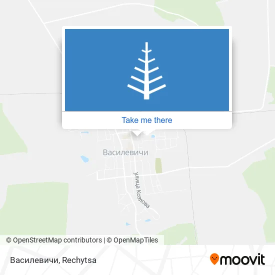 Василевичи map