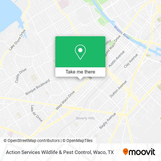 Action Services Wildlife & Pest Control map