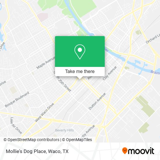 Mapa de Mollie's Dog Place