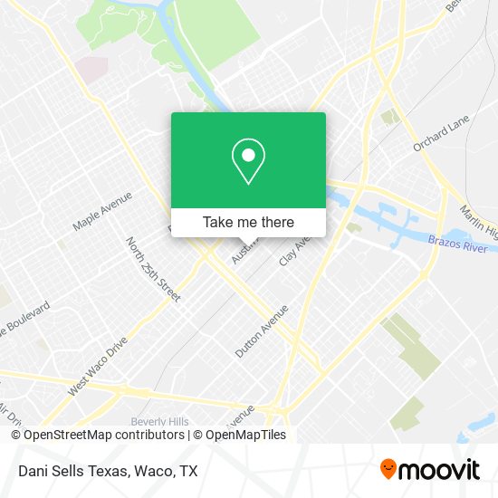 Mapa de Dani Sells Texas