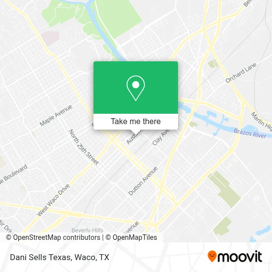 Dani Sells Texas map