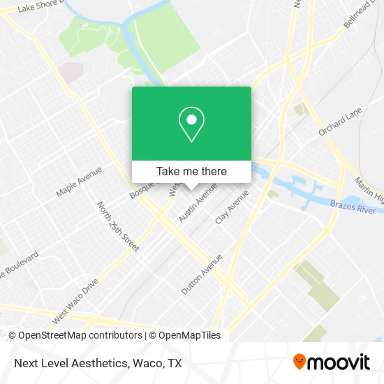 Next Level Aesthetics map