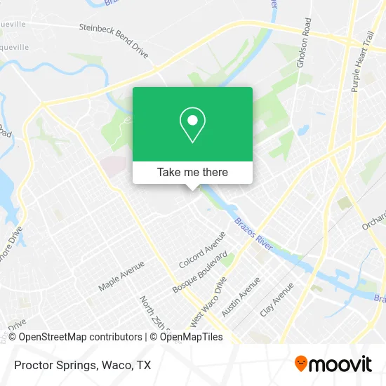 Proctor Springs map