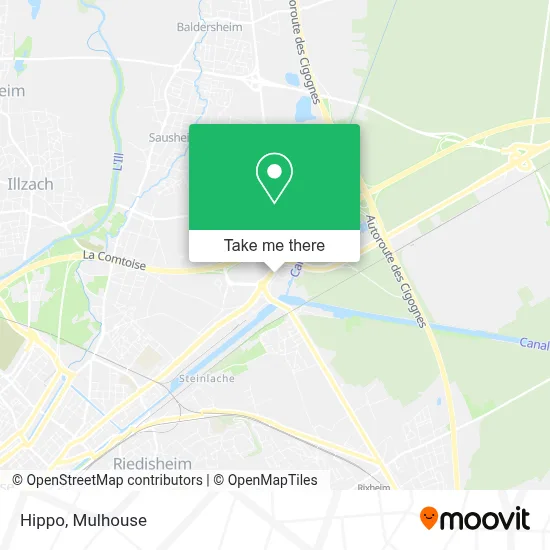 Hippo map