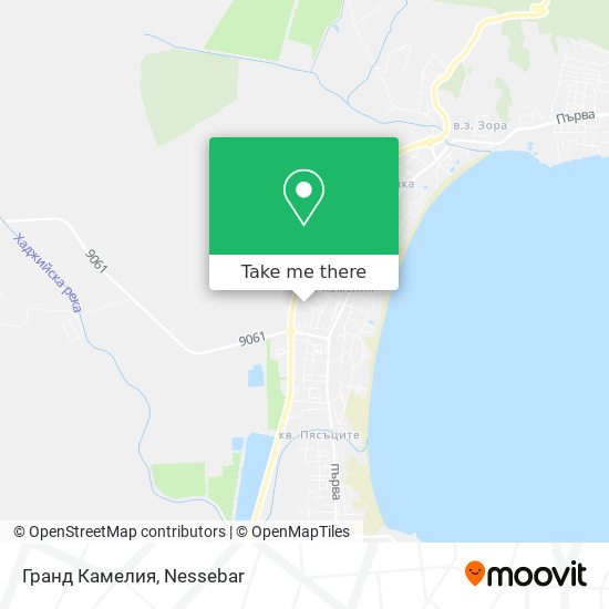 Гранд Камелия map