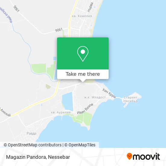 Карта Magazin Pandora