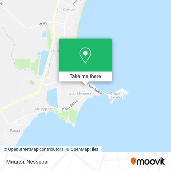 Карта Мишел