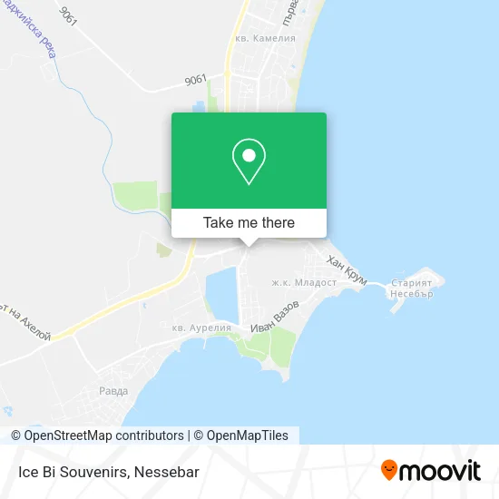 Карта Ice Bi Souvenirs