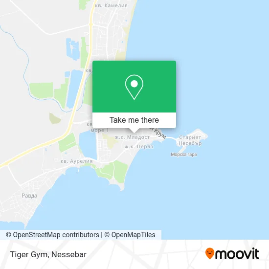 Tiger Gym map