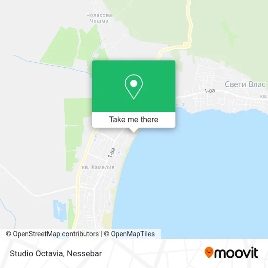 Studio Octavia map
