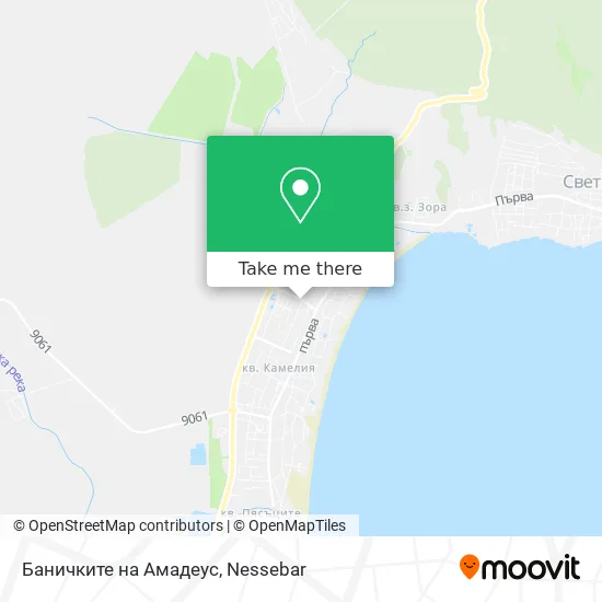 Баничките на Амадеус map