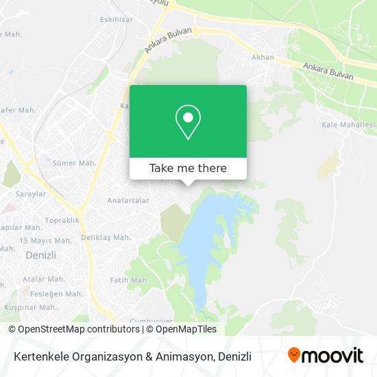 Kertenkele Organizasyon & Animasyon map