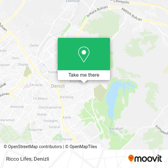 Ricco Lifes map