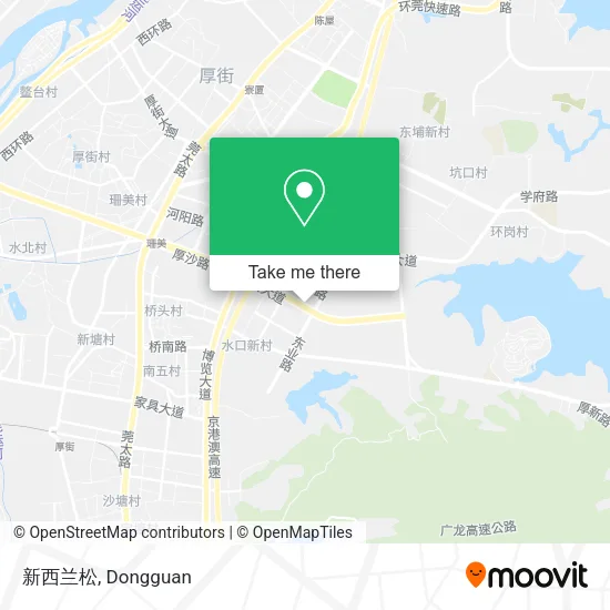 新西兰松 map