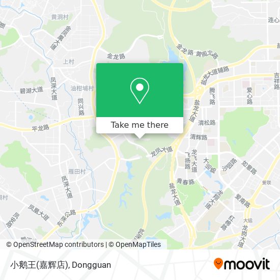 小鹅王(嘉辉店) map