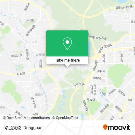 名流宠物 map