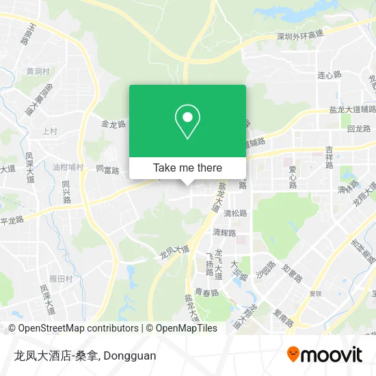 龙凤大酒店-桑拿 map