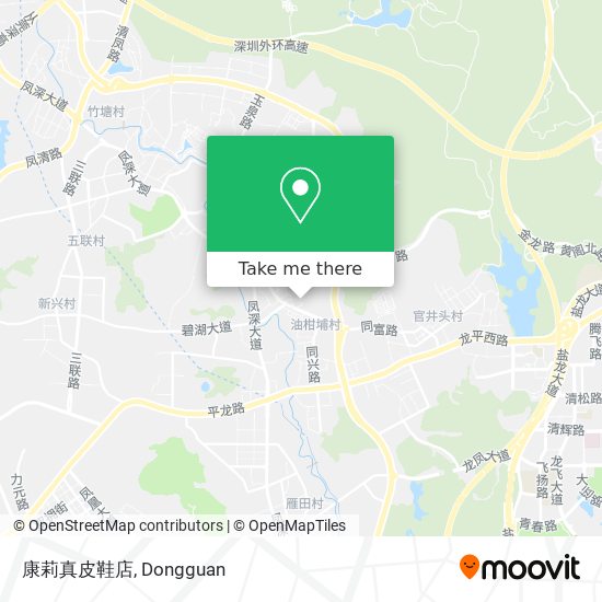 康莉真皮鞋店 map