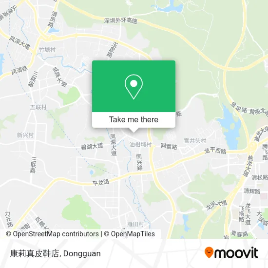 康莉真皮鞋店 map