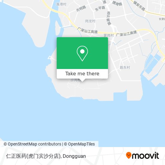 仁正医药(虎门滨沙分店) map