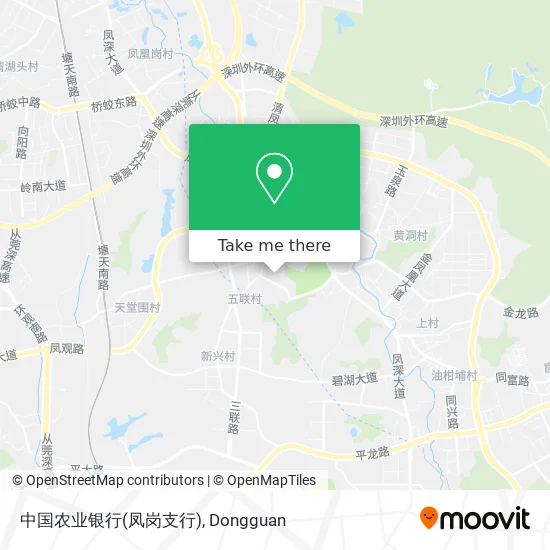 中国农业银行(凤岗支行) map