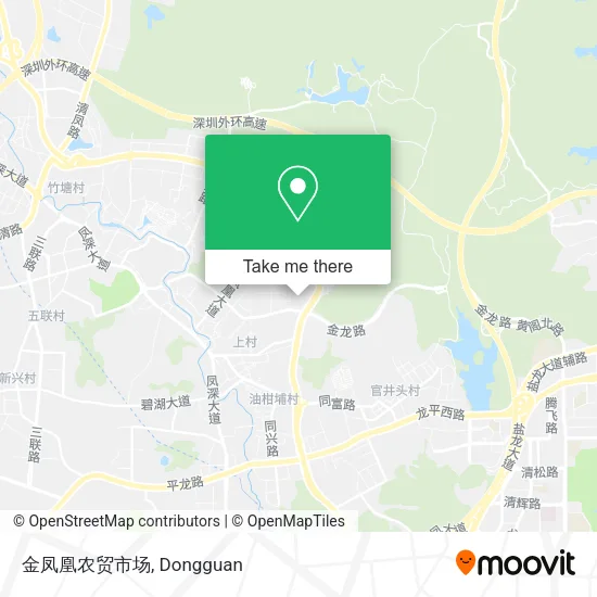 金凤凰农贸市场 map