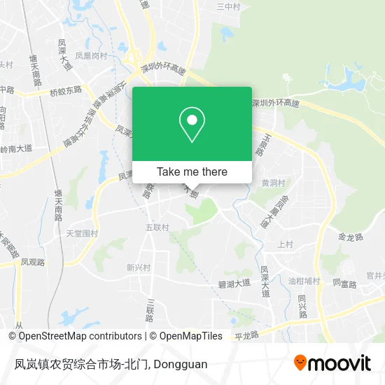 凤岚镇农贸综合市场-北门 map