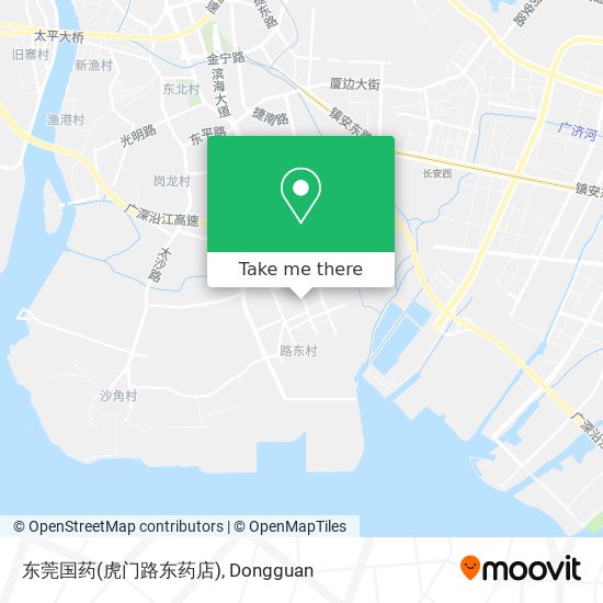 东莞国药(虎门路东药店) map