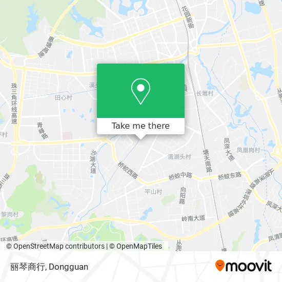 丽琴商行 map