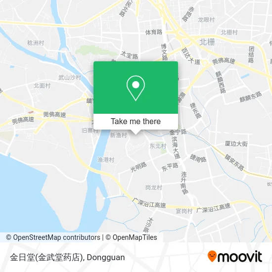 金日堂(金武堂药店) map