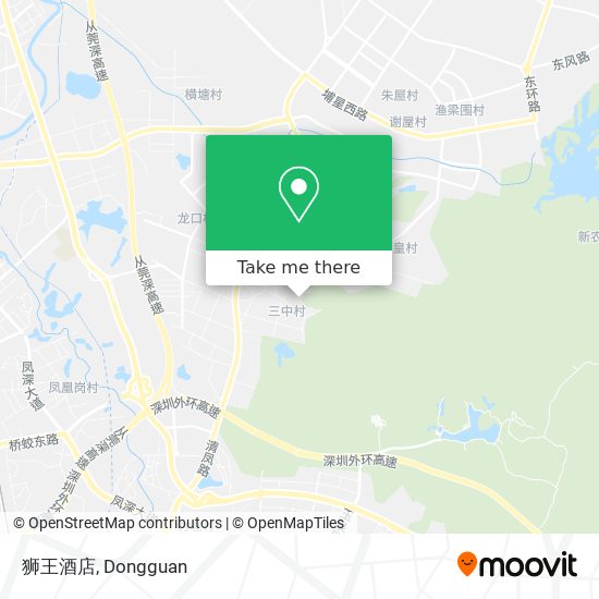 狮王酒店 map